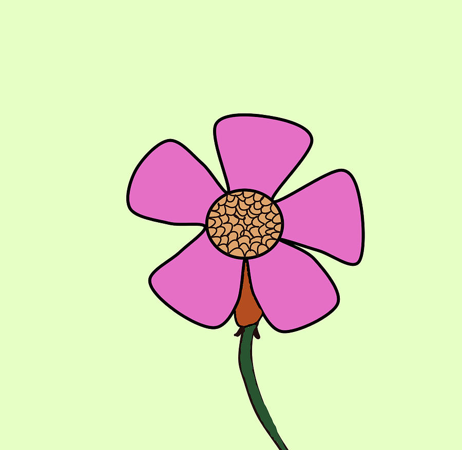 900x877 Pink Flower Drawing