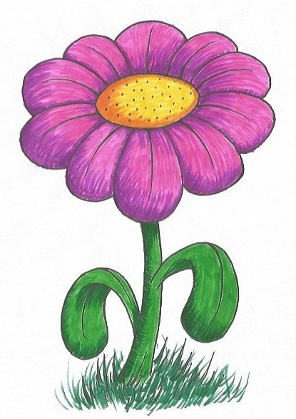 415x588 Simple Flower Drawing Tutorial The Drawing Journey