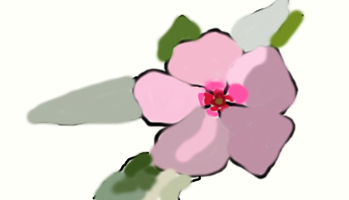 1179x678 Vinca Flower Drawing