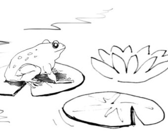340x270 Huge Collection Of 'lily Pads Drawing' Download More Than