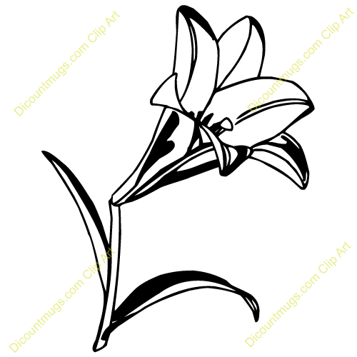 500x500 lilies clipart lillies
