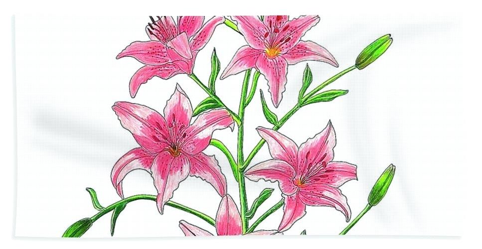 967x500 Tiger Lilies For Sale Double Lily Spotted Wild Alexmartins