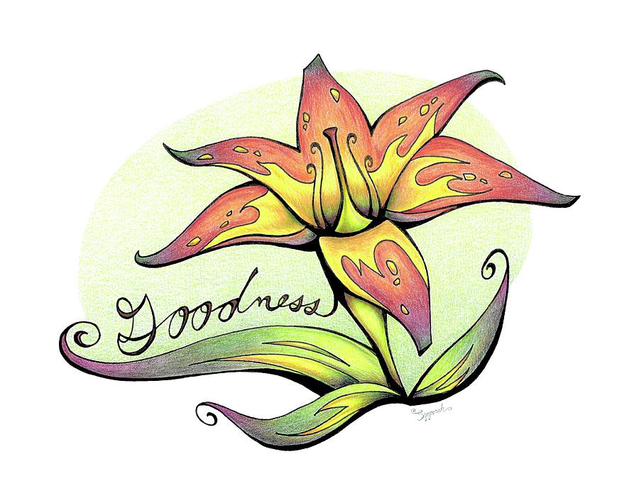 900x695 Inspirational Flower Tiger Lily Drawing