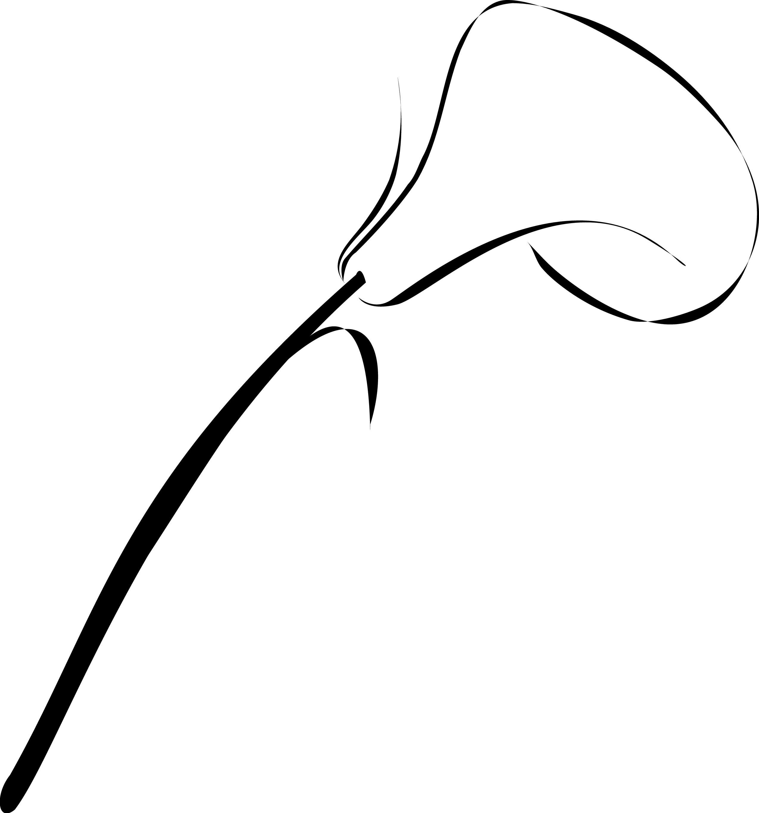 2550x2729 Calla Lily Drawing Picture Drawing Skill