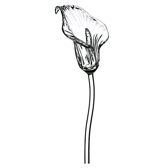 569x569 how to draw a calla lily drawing flower calla lily clip art
