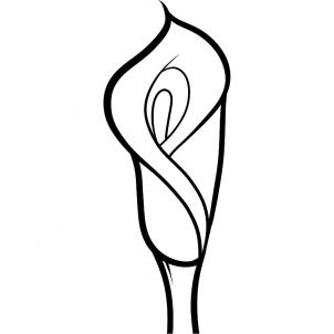 302x302 How To Draw How To Draw A Lily For Kids, Calla Lily