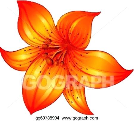 450x409 Lilly Flower Drawing One Simple Lily Flowers Lily Flower Drawing