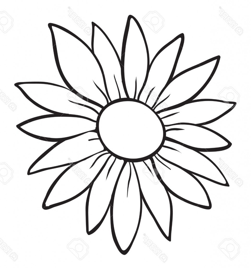 961x1024 Lily Flowers Drawing Outline Picture Of Flower