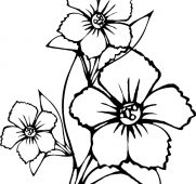 181x170 State Flowers Free Coloring Pages American Week Pretty Ideas Lily
