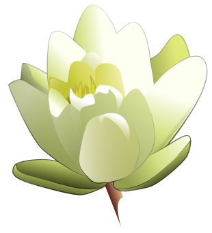 310x341 Lily Flower Clipart