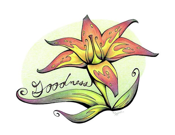 600x463 Yellow Lily Drawings Fine Art America