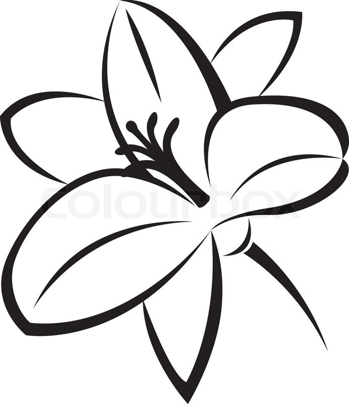 692x800 Cartoon Lily Flower Clip Art