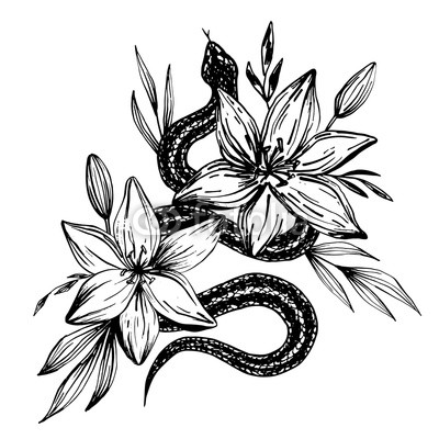 400x400 Hand Drawn Ink Snake And Lilies Flowers, Vector Illustration