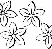 181x170 State Flowers Free Coloring Pages American Week Pretty Ideas Lily