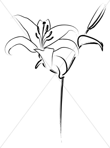 455x612 Easter Lily Line Art Easter Clipart