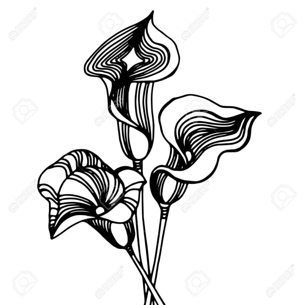 970x970 Fiddler Line Drawing Interior