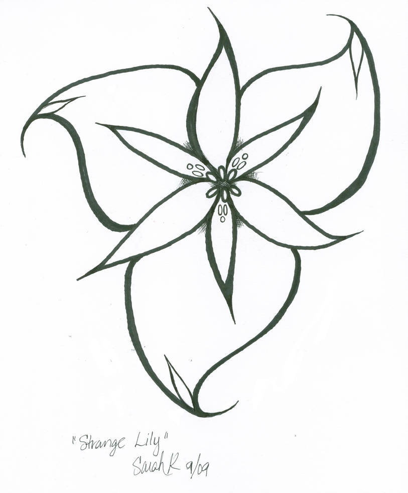 813x983 Strange Lily Line Art