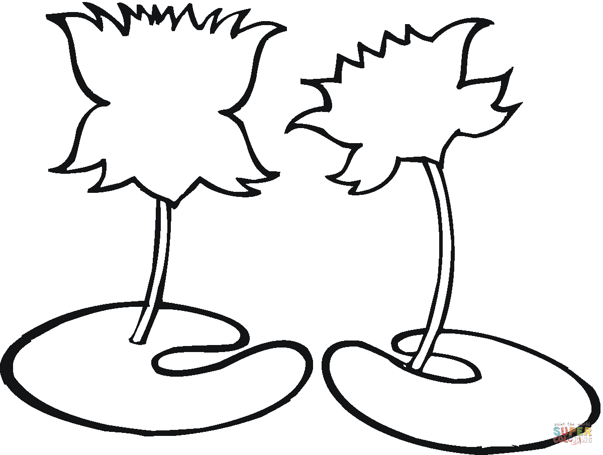 1200x906 Water Lily Line Drawing Coloring