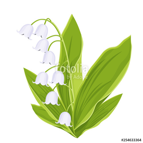 500x500 Lily Of The Valley, Spring Bouquet Of Delicate Flower, Vector