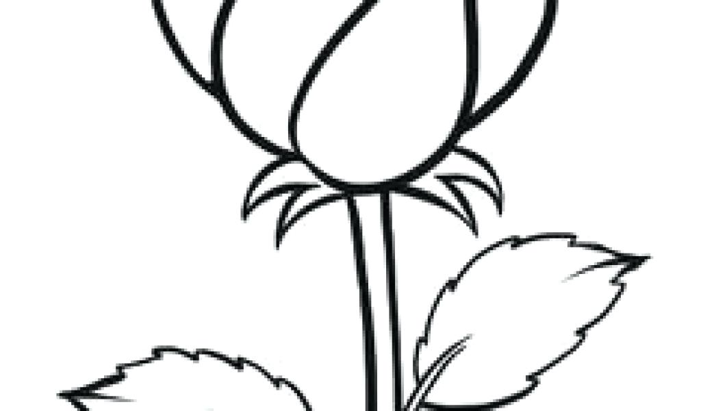 1024x600 Easy Draw Flowers