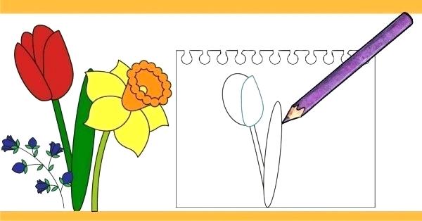 600x314 How To Draw A Flower