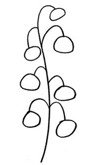 185x327 How To Draw A Lily Of The Valley Gradually Pencil
