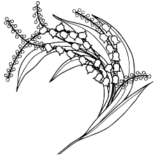 224x224 Image Result For Lily Of The Valley Drawing Drawing Ideas Lily