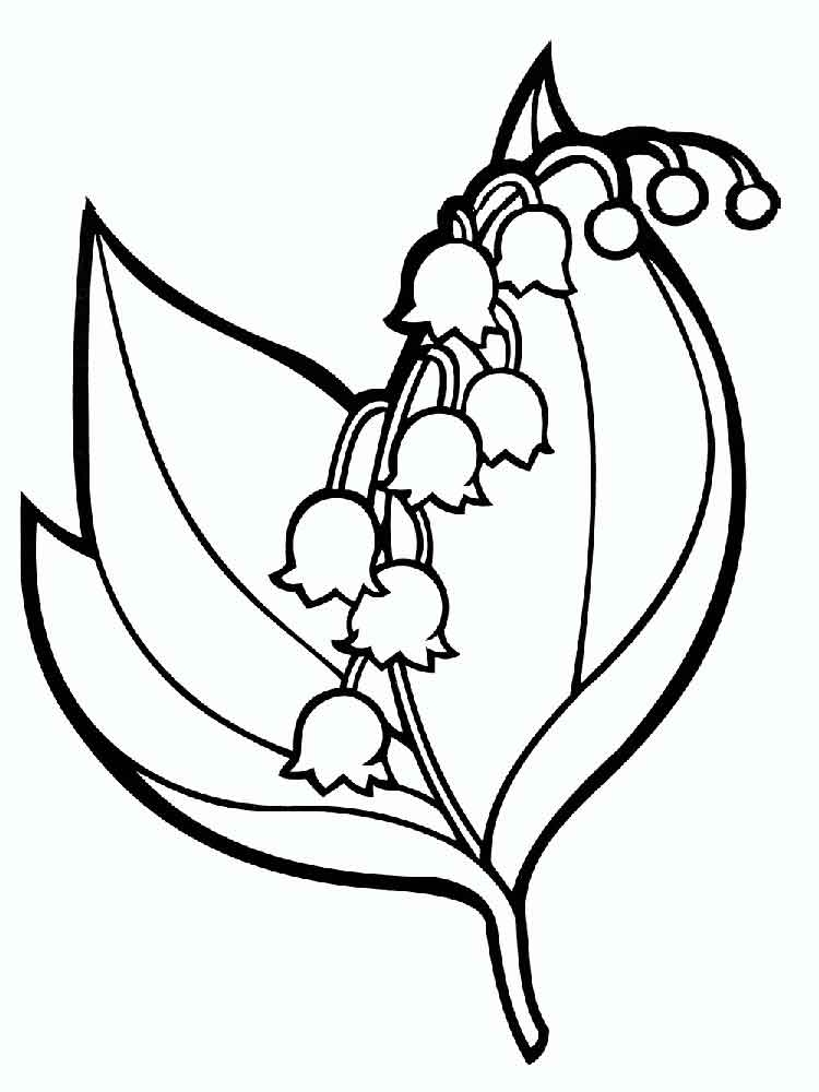 750x1000 Lily Of The Valley Clipart Coloring Page