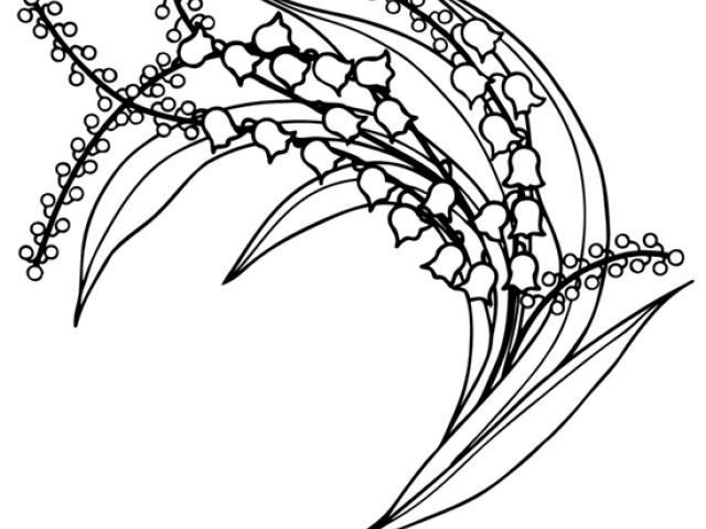 640x480 Lily Of The Valley Clipart Hand Embroidered