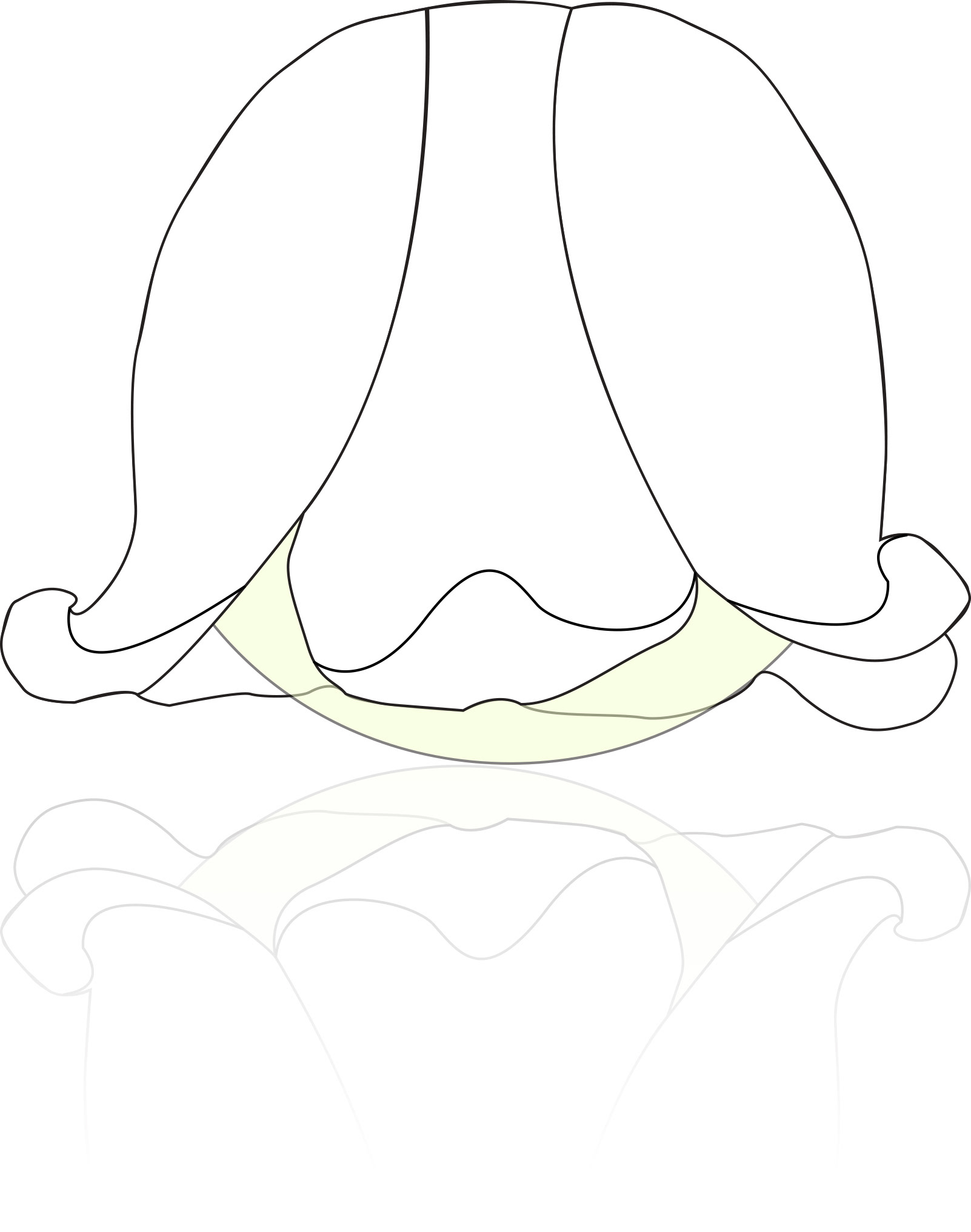 1602x2033 Cornelia Bech