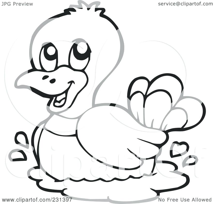 885x840 Fresh Outline Of A Duck Style Beautiful Calla Lily Coloring Pages