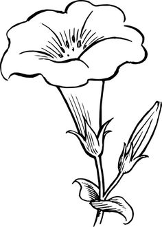 236x330 Huge Collection Of 'outline Drawing Of Flowers' Download More