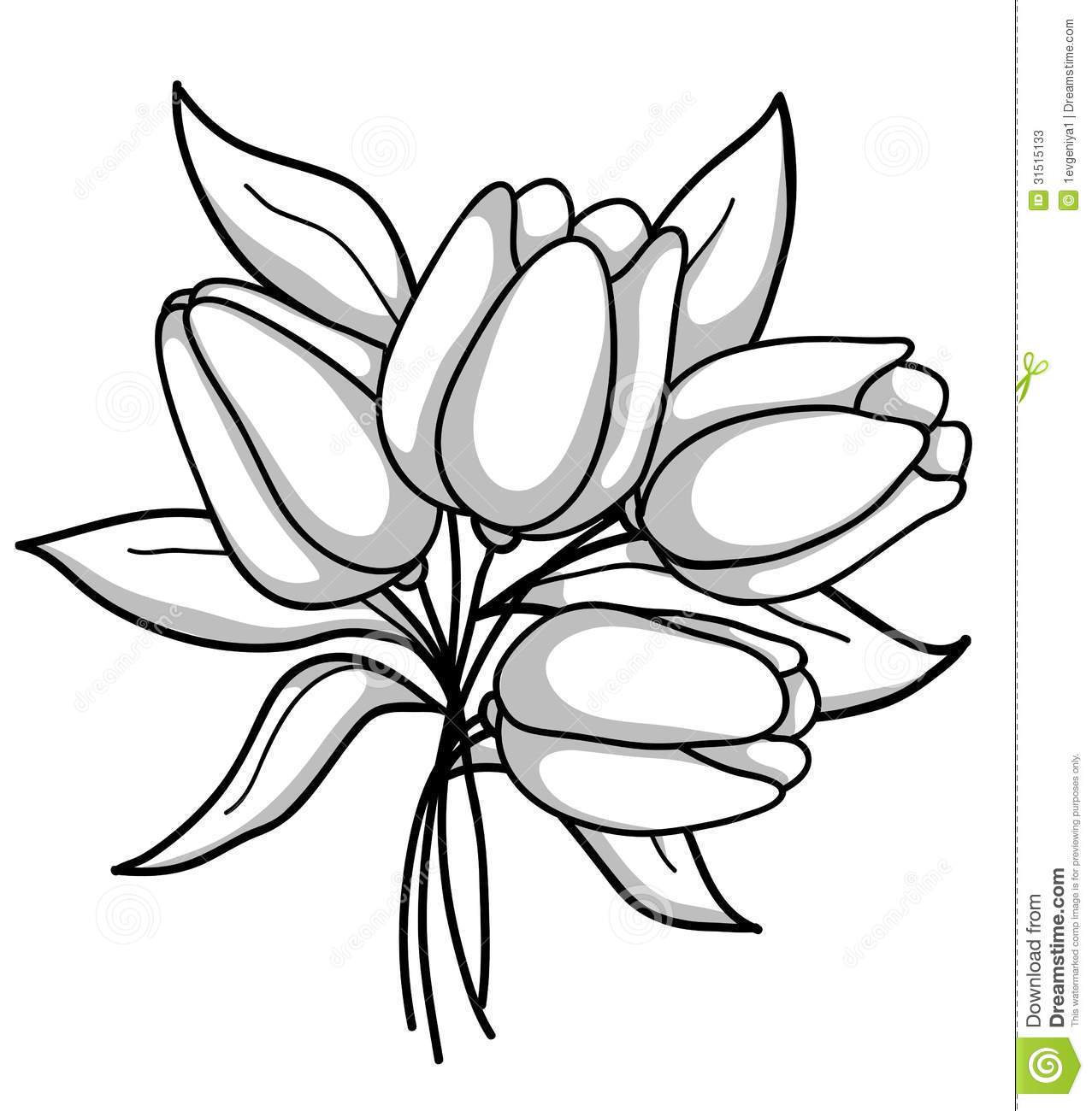 1277x1300 Tiger Lily Flower Drawing Outline Classy Cloud