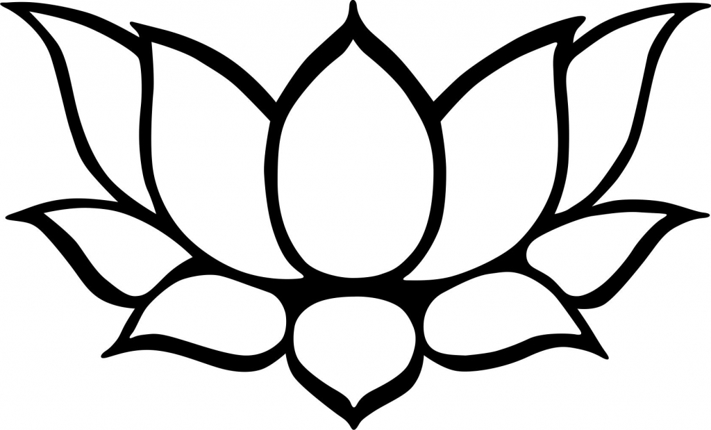 1024x619 Collection Of 'lily Pad Flower Drawing' Download More Than