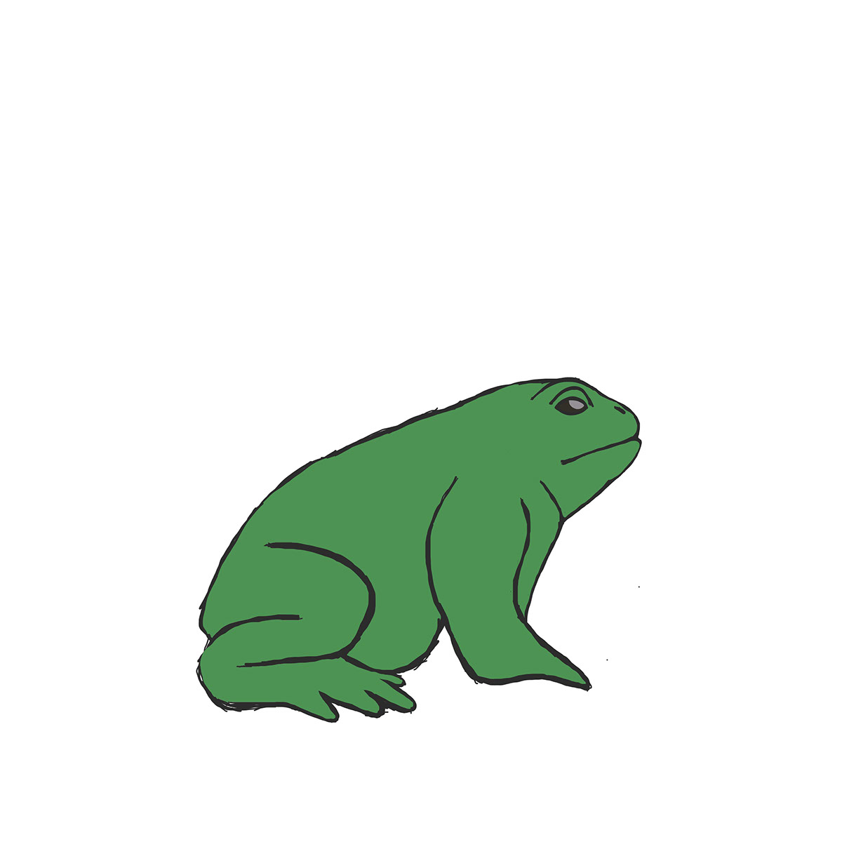 1200x1200 Lily Pad Stock Designs