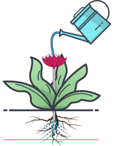 235x300 lilypad drawing garden flower transparent png clipart free