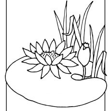 230x230 Lovely Design Lily Pad Coloring