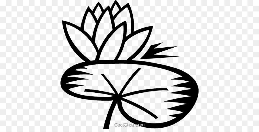 900x460 Drawing, Illustration, Flower, Transparent Png Image Clipart