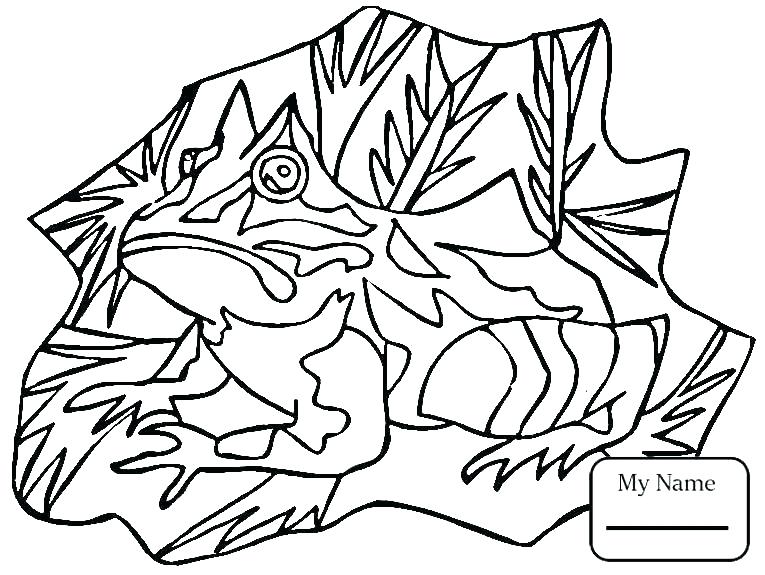 765x575 Lily Pad Flower Coloring Pages Lotus