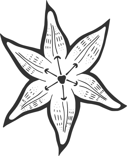 512x627 Lily Pad Flower Png Black And White Vector, Clipart