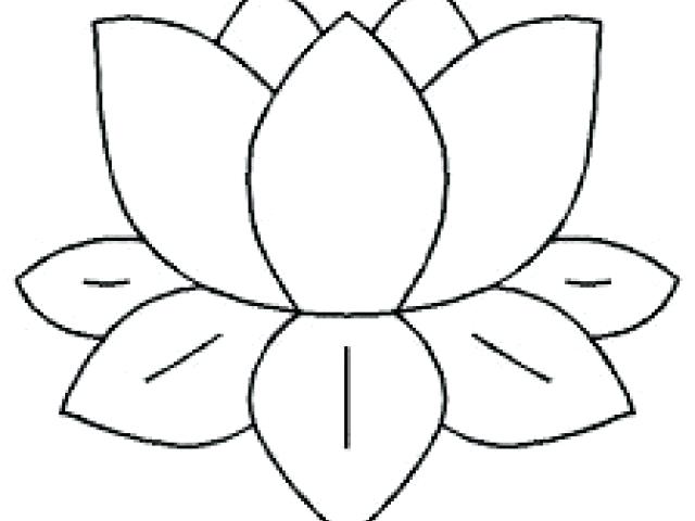 640x480 lily pads templates lily pad template free printable children