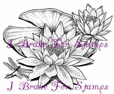 394x326 wonderous water lily i brake for stamps
