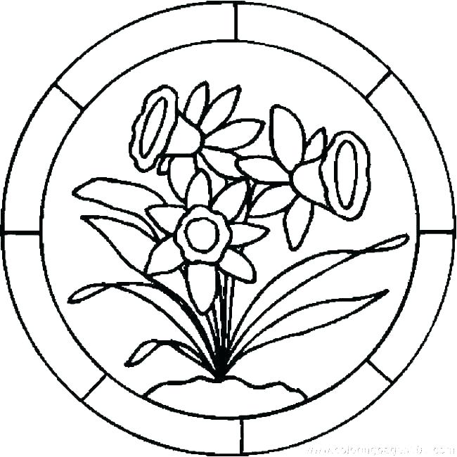 650x650 Lily Coloring Pages