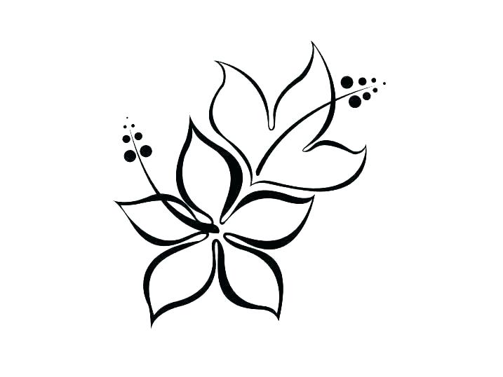 Lily Pad Flower Drawing | Free download on ClipArtMag