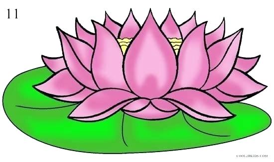 550x326 Flower Drawings With Color Stock Seamless Flower Colour Pattern