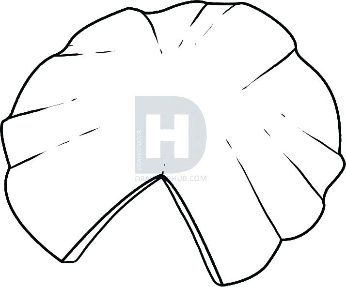 714x593 Draw Lily Zupa