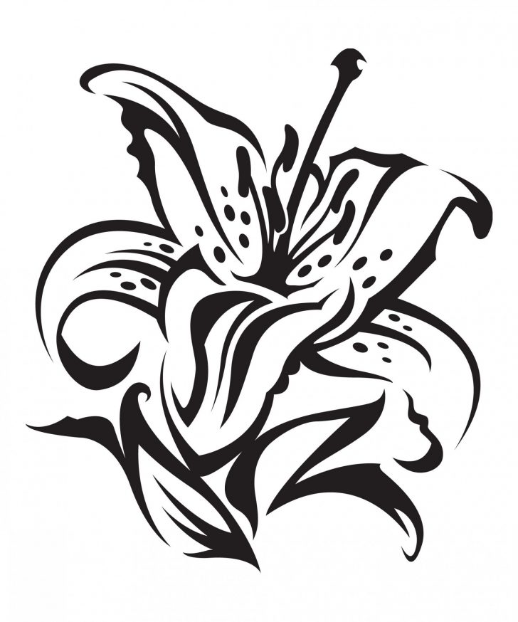 728x874 Black And White Shaded Flower Drawing Botanical Lily Sunflower