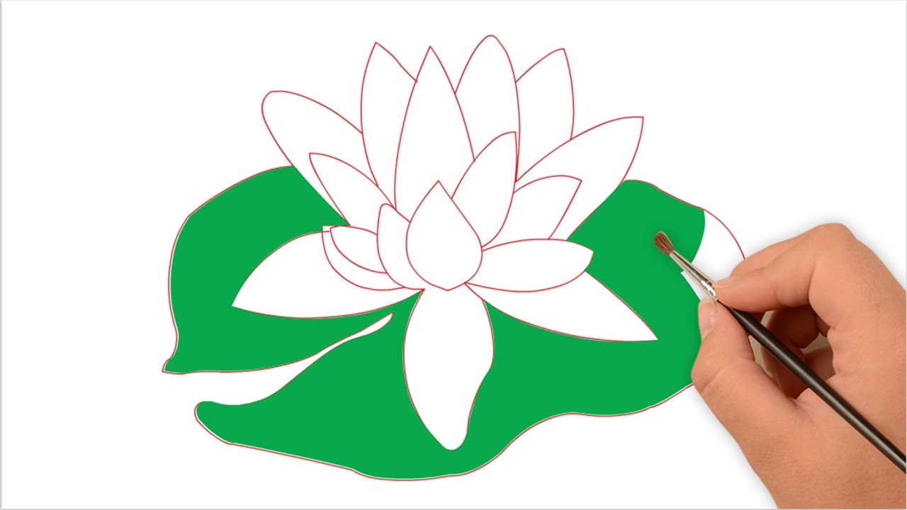 1280x720 How To Draw Water Lily For Kids Easy Step