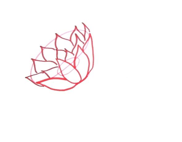 591x460 Lilies Drawing