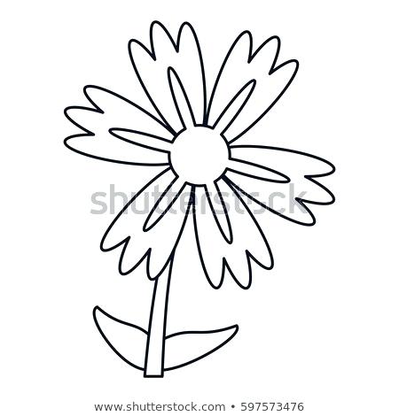 450x470 Vector Bouquet With Outline Lily Of The Valley Or F Water Lily
